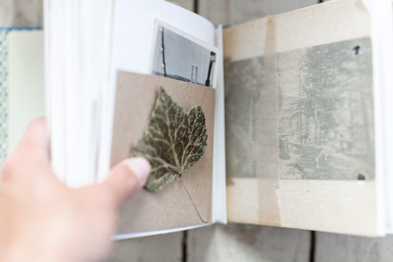 Book-Binding-10-scaled-1350×900